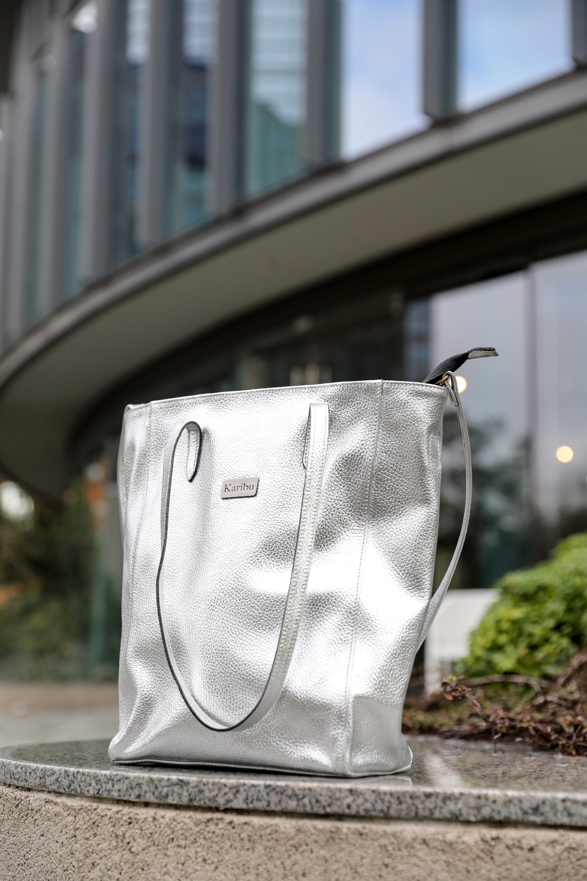 Cartera Jacinta plateada