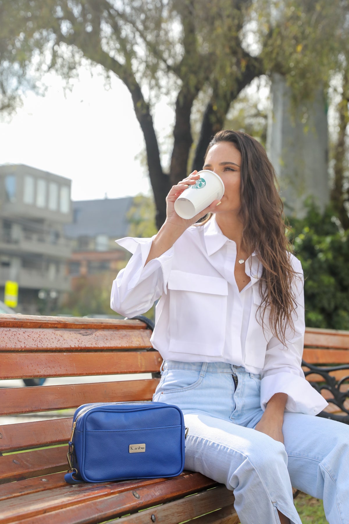 Cartera Rosario azul