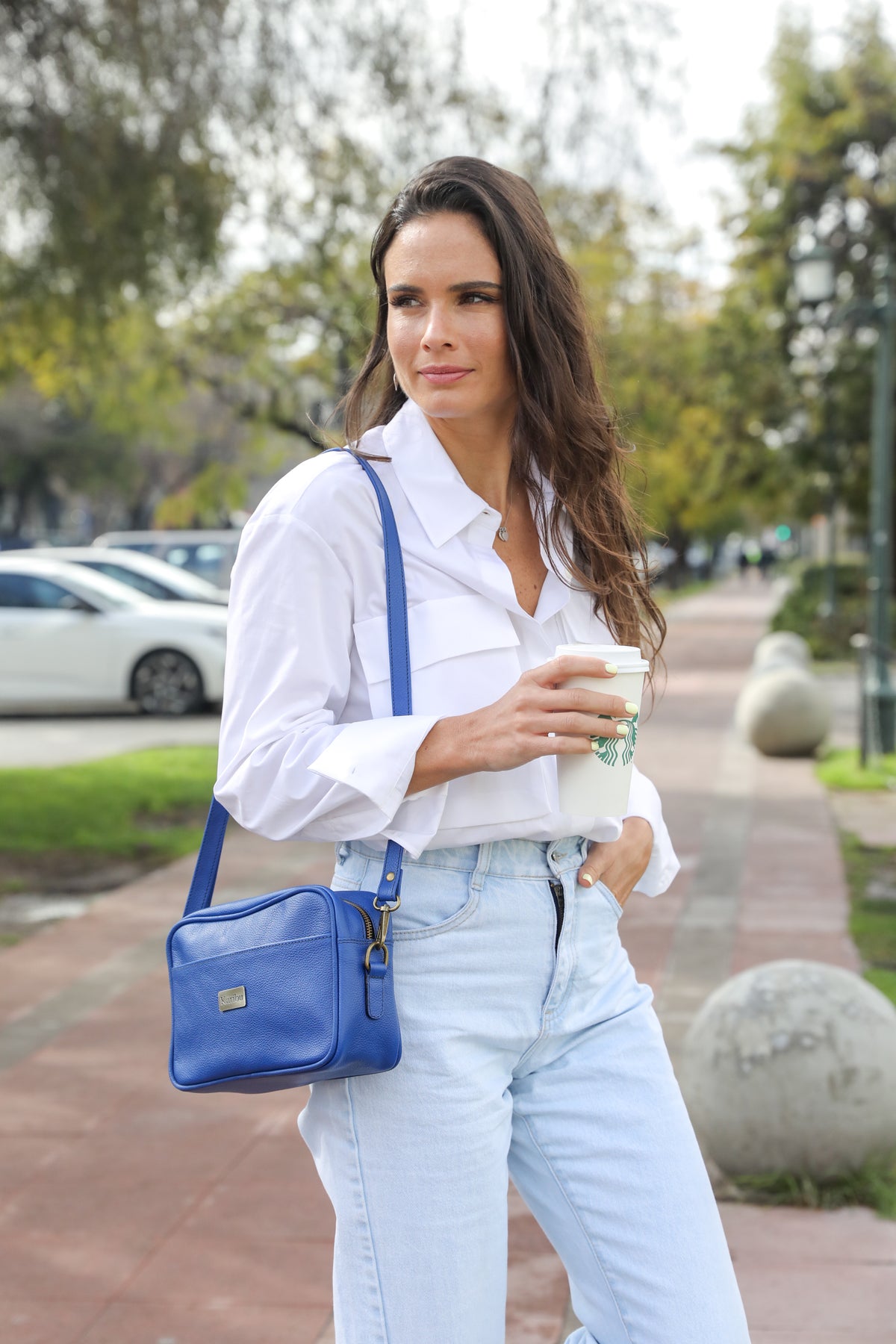 Cartera Rosario azul