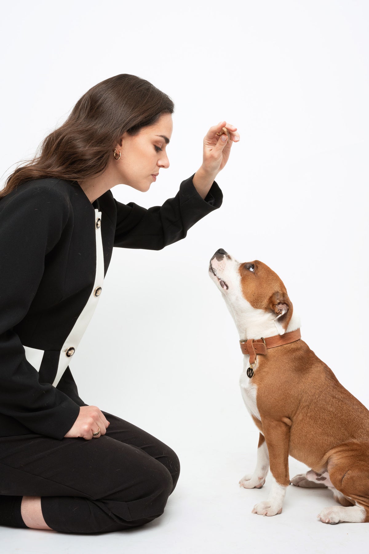 Correa para perro Cafe