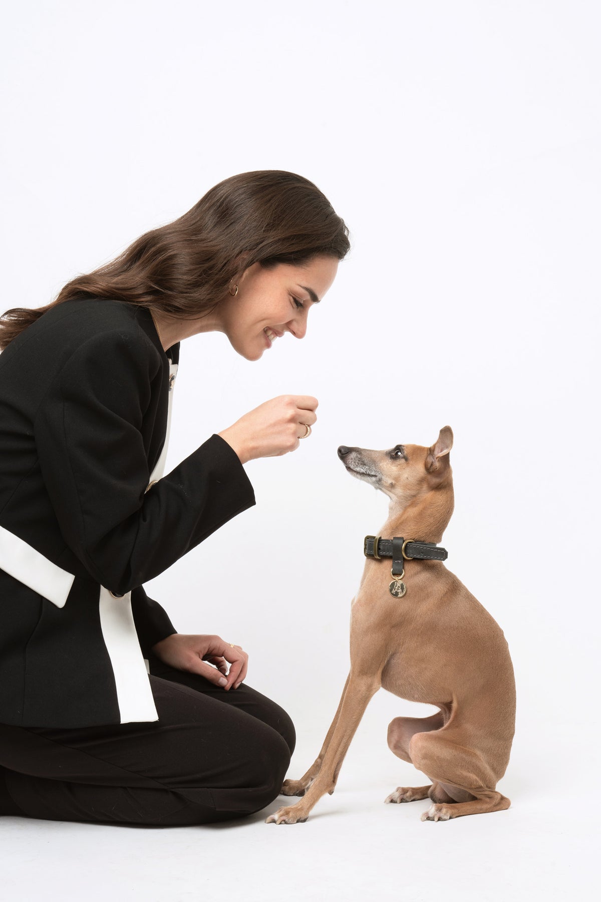 Correa para perro Gris